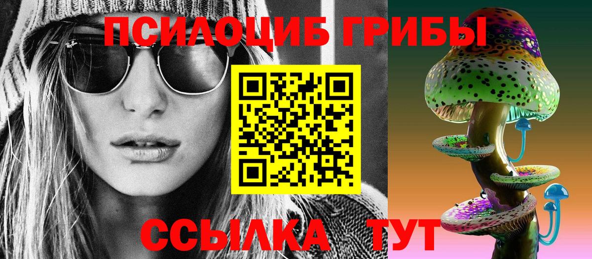 Галлюциногенные грибы Psilocybine cubensis Кисловодск