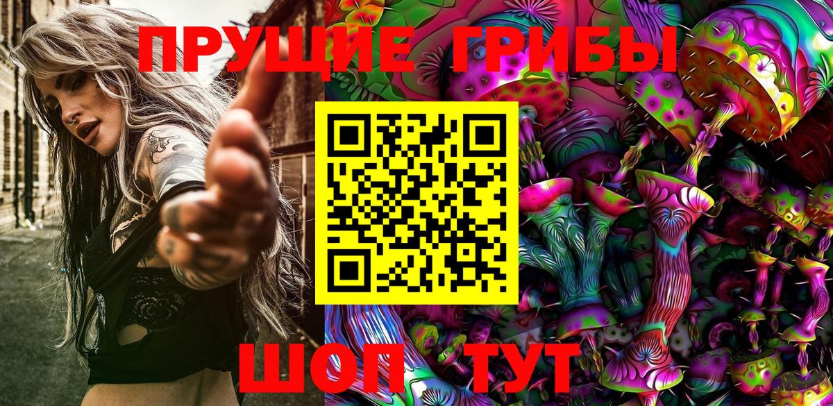 Псилоцибиновые грибы Psilocybe  Вход с VPN  Кисловодск 